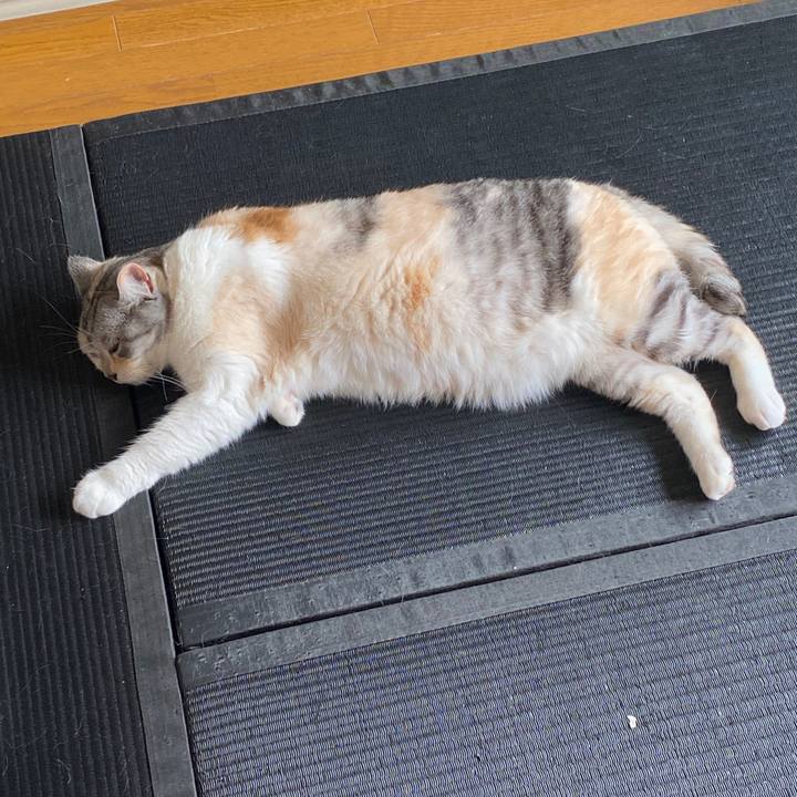 F0c9edfa c52e 435f 998b a901f35dc5ba 1588655869083