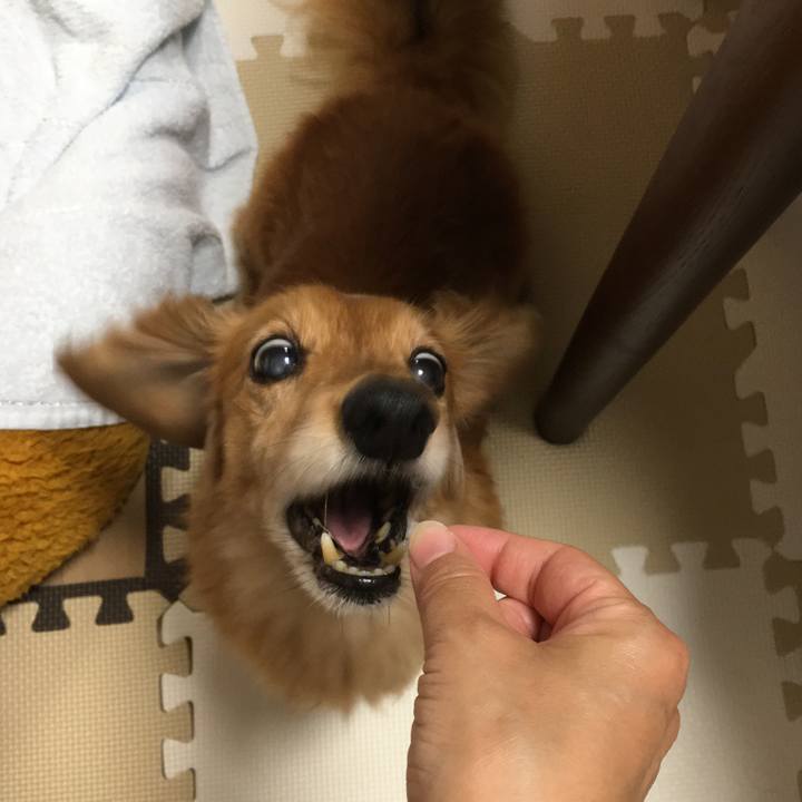 F0c9f3bb 3139 4c15 9c63 947b2aed97f6 1621774455522