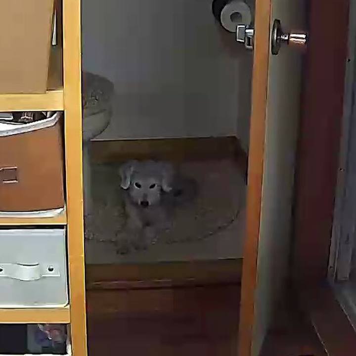 F0c9fed4 f476 4de1 a5ee 3c3e5391bd3b 1634617928953