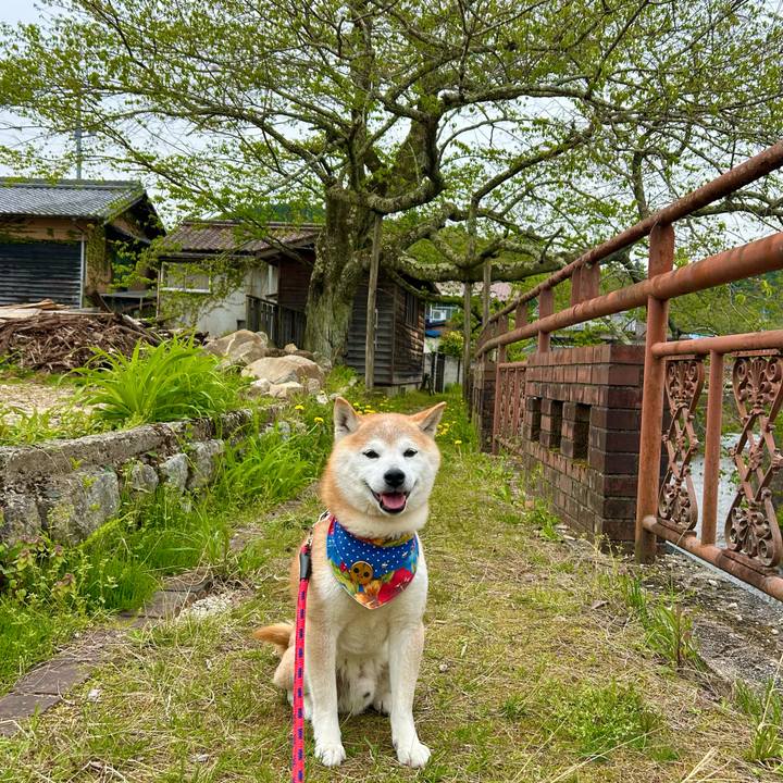 F0ca1940 5269 443b a7c9 679491142316 1745578212745