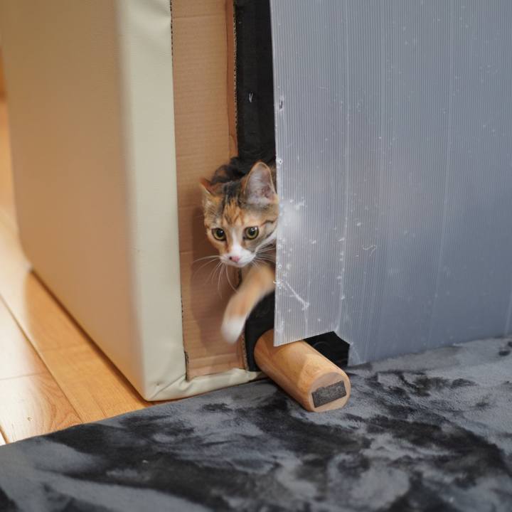 F0ca4aa3 0ec0 48c0 99d0 0c93da727b14 1576934369060