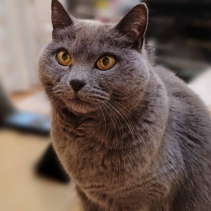 F0ca557f f1d8 4b30 98cd ef333bf3aeed 1773405370776