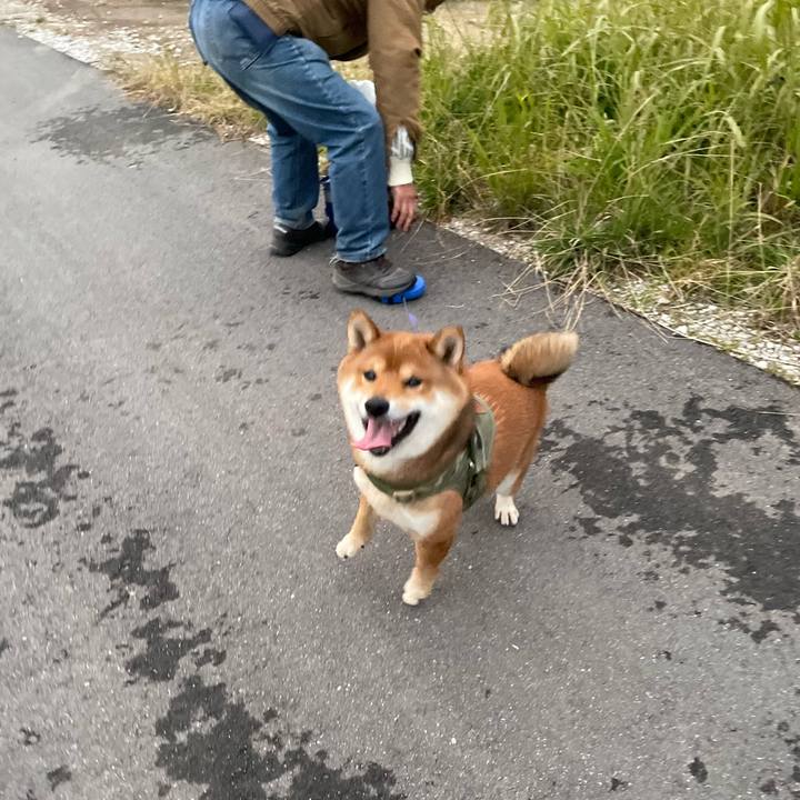 F0ca5a5e 2f74 4e4c ba5e c8df2d3d8166 1670151719295