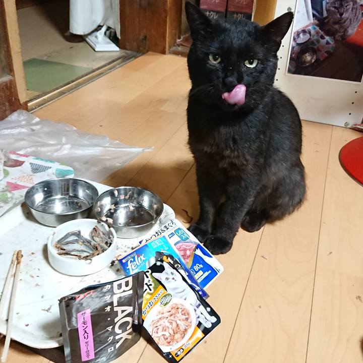 F0ca5df4 7795 40f7 9aac 1ad7b7f8dc1d 1626349152508