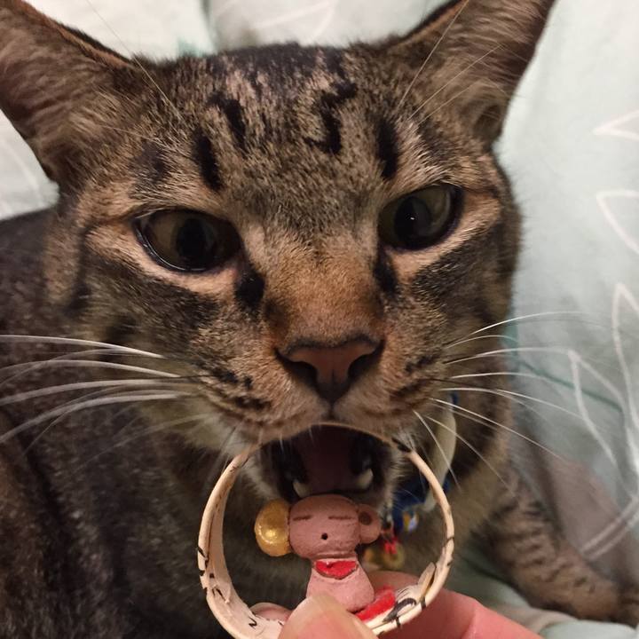 F0ca68ea 75f2 4248 9035 3a652737f3d3 1598713365861