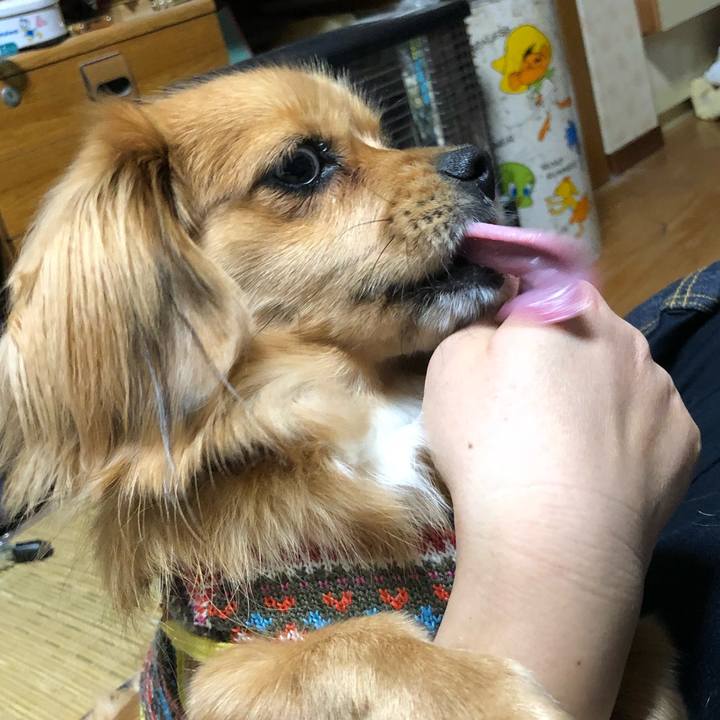 F0cad2df bf98 4e1d 9565 3a23a344b9da 1515878873995