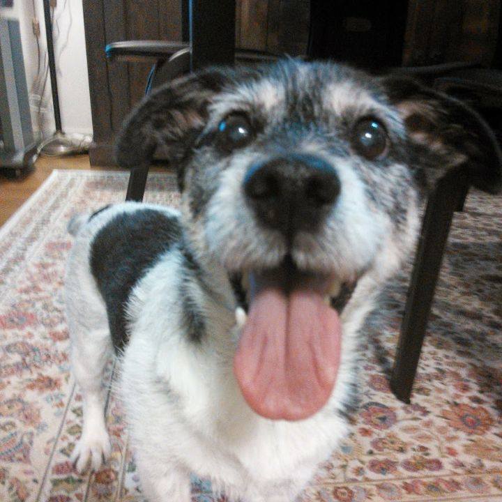 F0cad726 8e51 4f6a 9eaf 182d6548c0f6 1536882249416