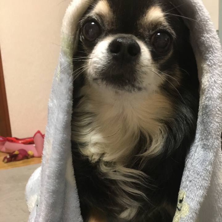 F0cad8ef 4ba9 44b9 8138 b28b3eeb3d3d 1550018501345