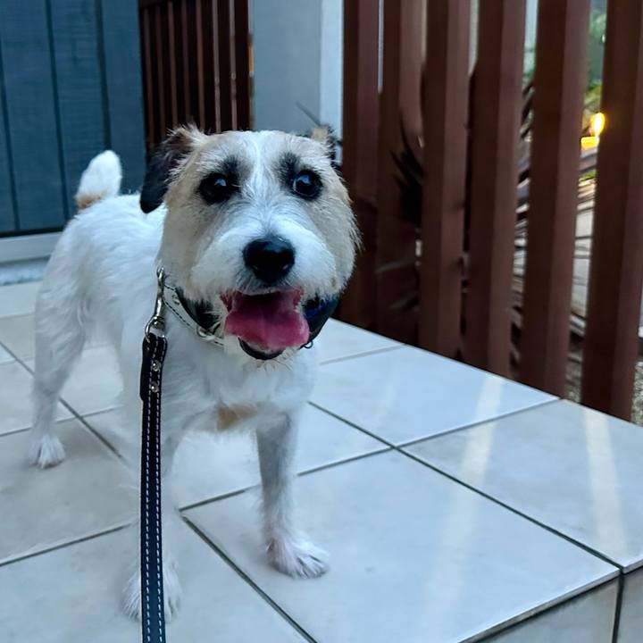 F0cae949 a6a9 47c9 b0cc 9d82e6c792d9 1753279526218