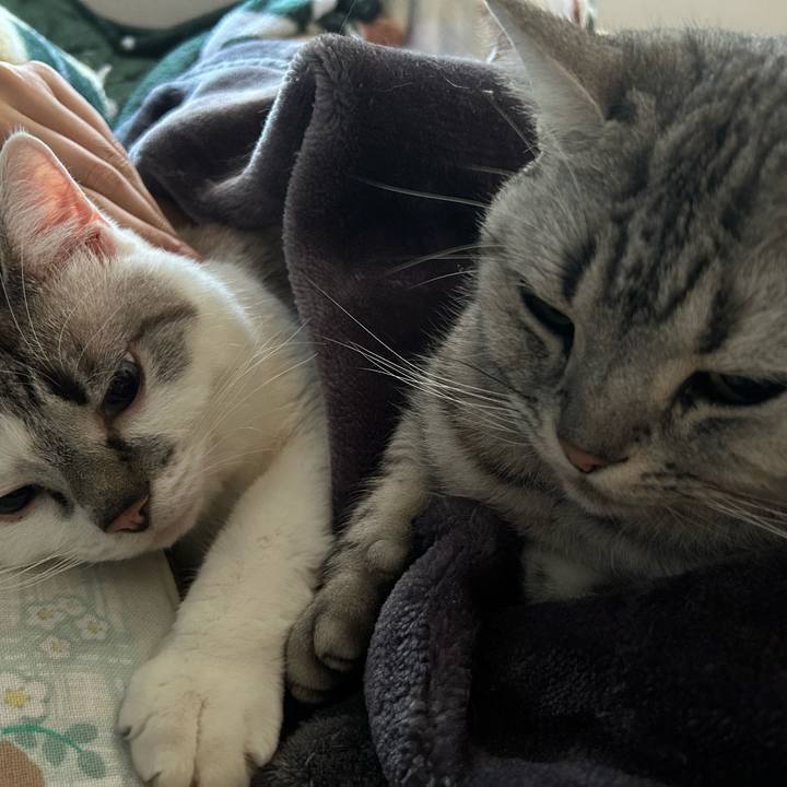 F0caf2df 9ef6 4fe0 a93c 25992e2a81c8 1738019020858