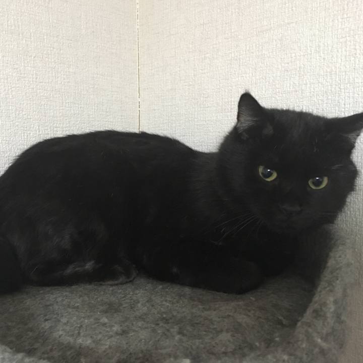 F0cafeac d8cf 4cc0 ac9c c77ebfe7ea81 1534477644412