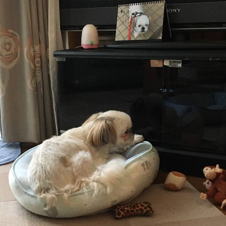 F0cb0530 5c67 47c1 b935 2fbb6a9c9e7d 1597924683105