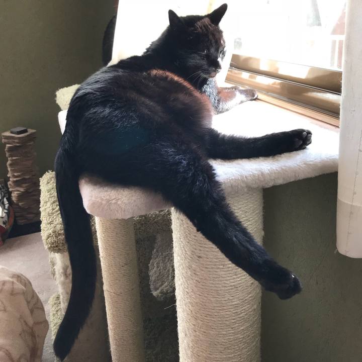 F0cb382d d5ce 44c5 9b8f 38e2dceda08c 1520039694292