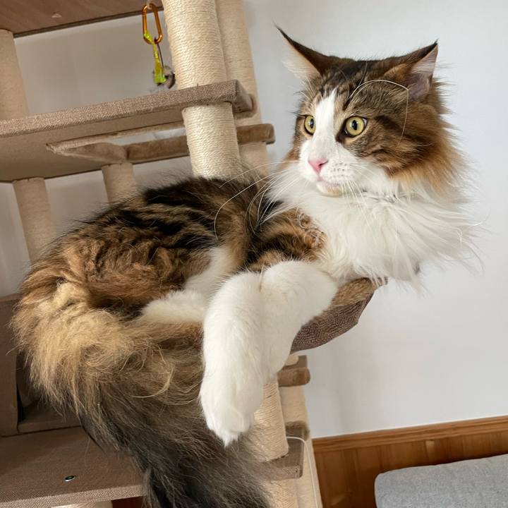 F0cb3da7 3f40 47fb 9bcc e09b7c03d46f 1651961245270