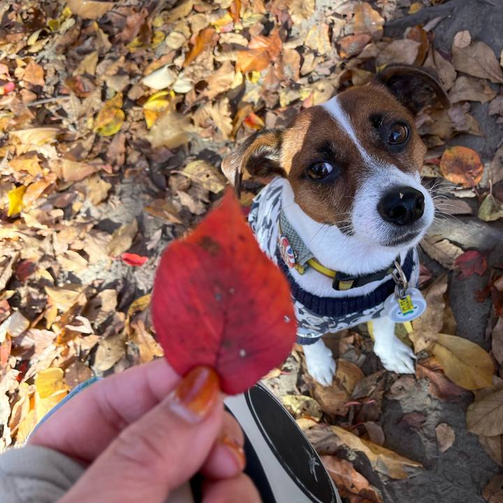 F0cb66f6 05e4 4394 9af0 fbba5107daae 1675870317162