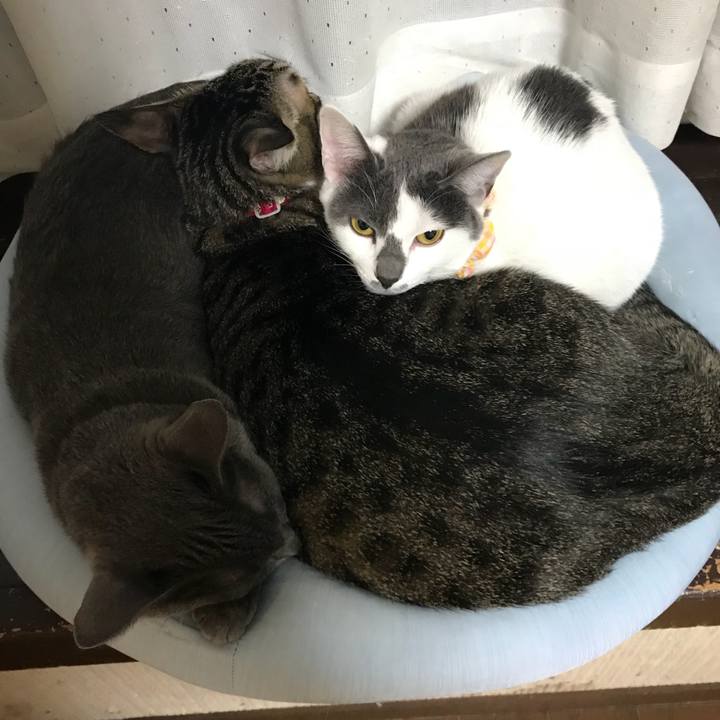 F0cb8097 e5f9 47f3 9653 21faf80b4143 1516103597588