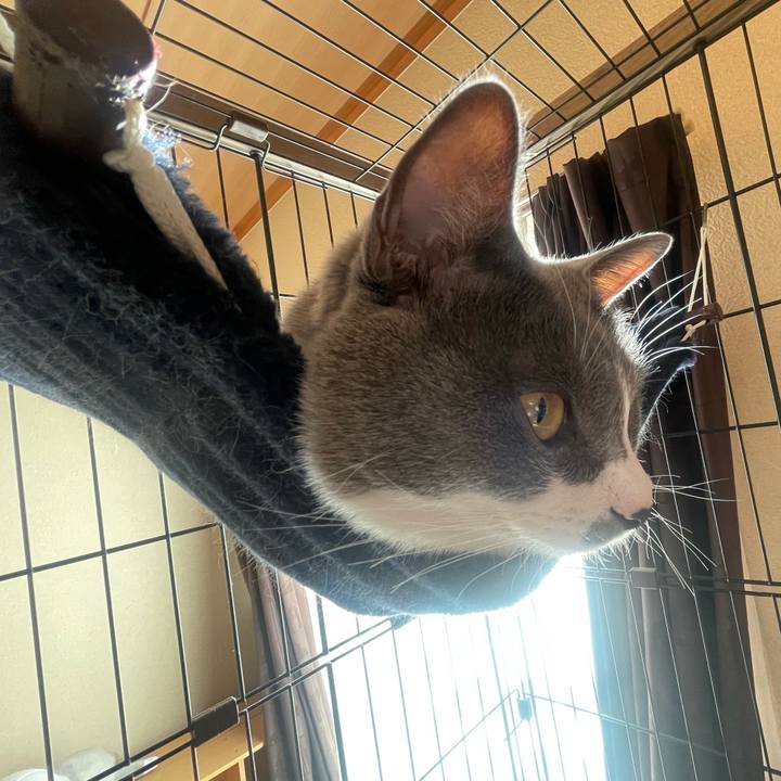 F0cbb316 0017 4c4c b2c9 f6519622dbd5 1671492053526