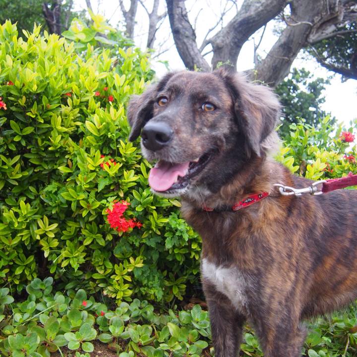 F0cbe17f 6e46 4307 a599 5e8b54ed973f 1512381800395