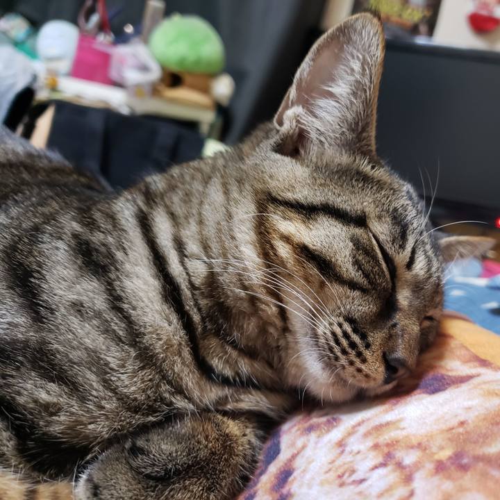 F0cc09e4 d97f 4bd9 ac46 2b4720482282 1543495941845