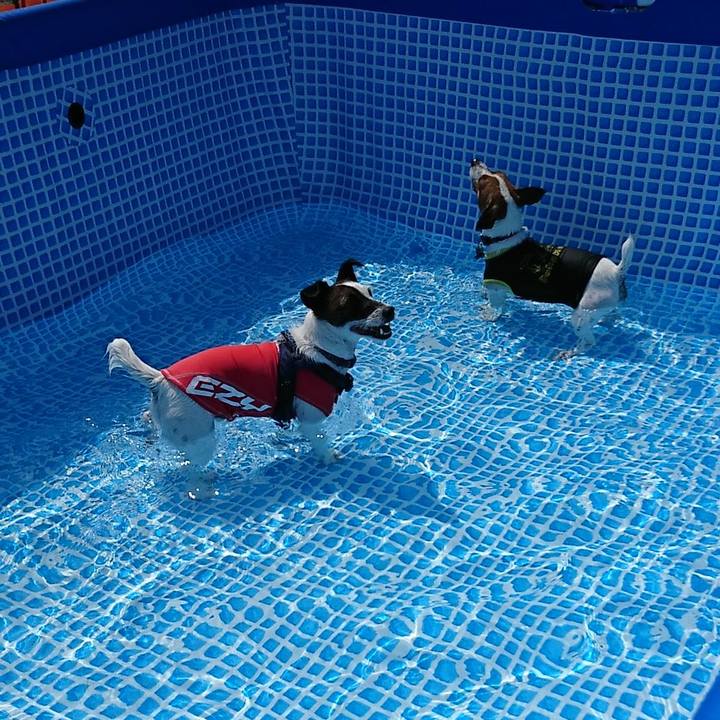 F0cc1310 fa64 4d7a b02d 189b1c0f584c 1533965724512