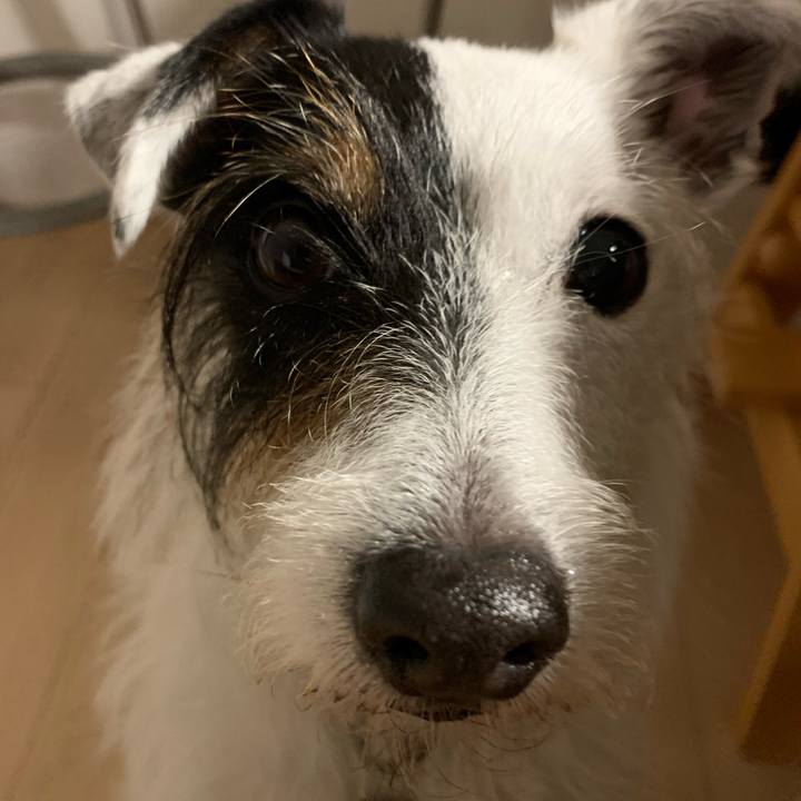 F0cc2cbd 5cb5 40c1 889c 08bbd481ec10 1688727986598