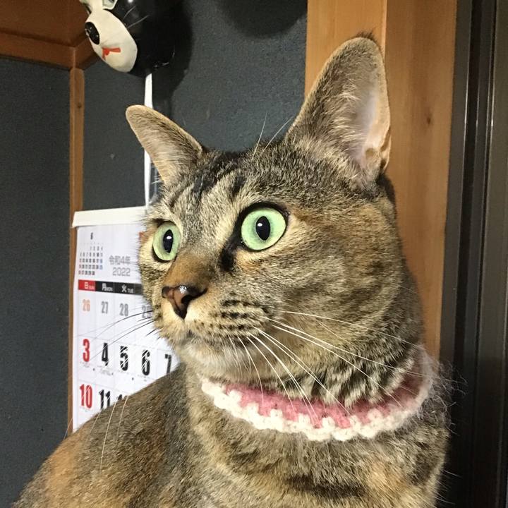 F0cc4ed2 71fb 4138 97bb 4b11dfb5980e 1658226352893