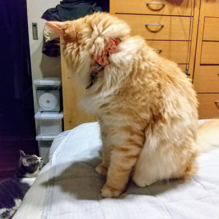 F0cc65f4 40ea 4945 b1e3 233c5e3922ee 1630069829771