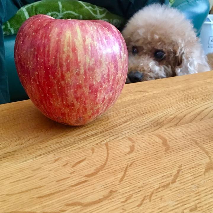 F0cc850d 81c0 4e62 99c6 7e3464a3d844 1512105488292