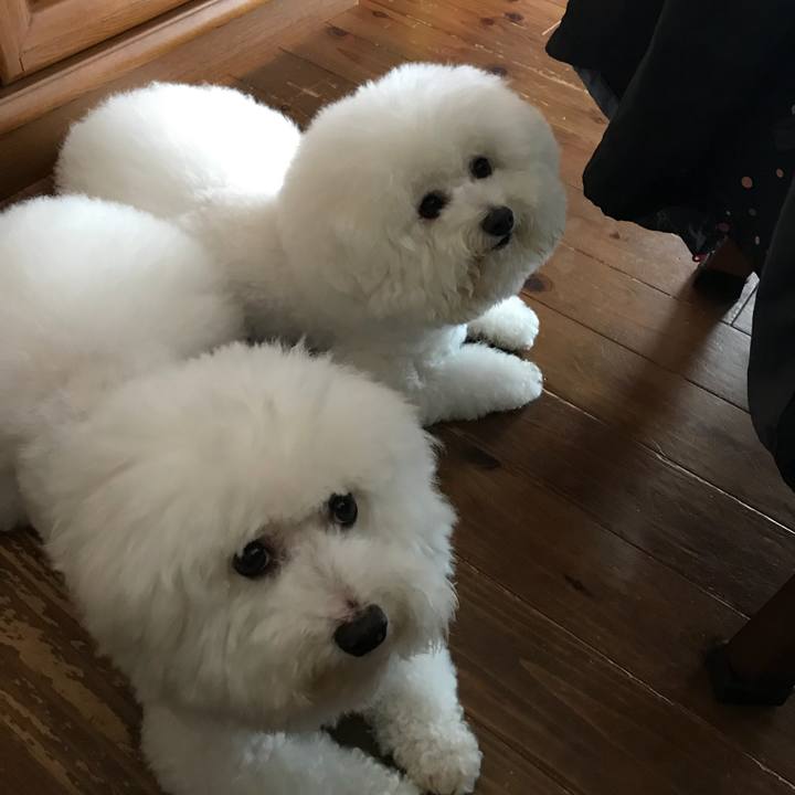 F0cca7db e6a2 4533 b46c d1b9ba5c6659 1529623892873