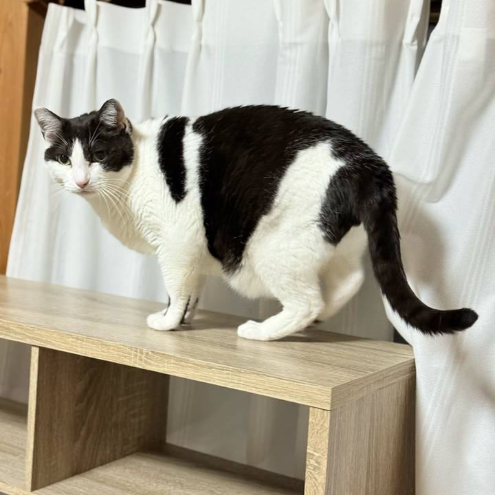 F0ccd44f d87a 4538 8a8c 6a42bb4711e0 1748224813878