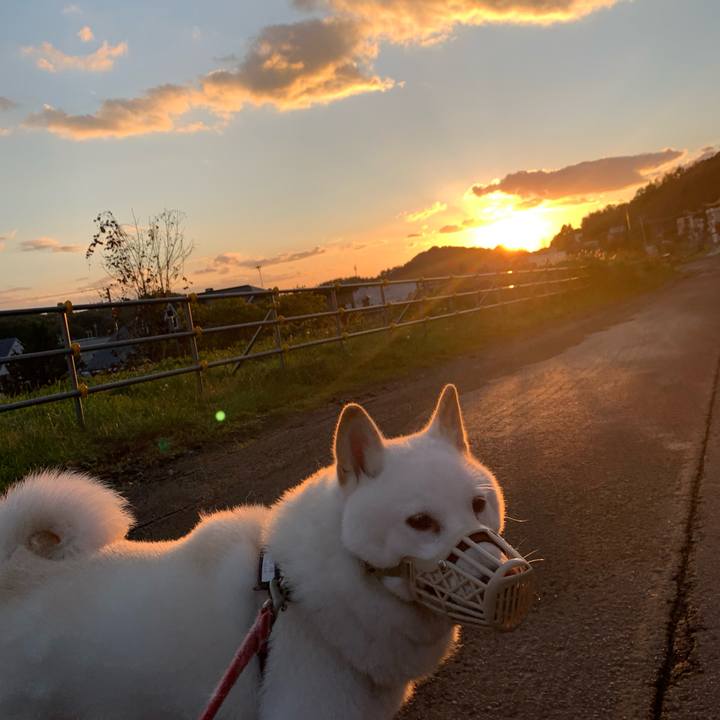 F0ccff02 4da7 4370 85a9 7bf6fa0168d0 1602971047166