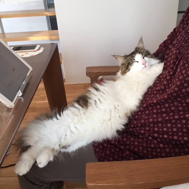 F0cd08c9 3be9 48cd 9b1f 9783ac8e11f2 1521035600188