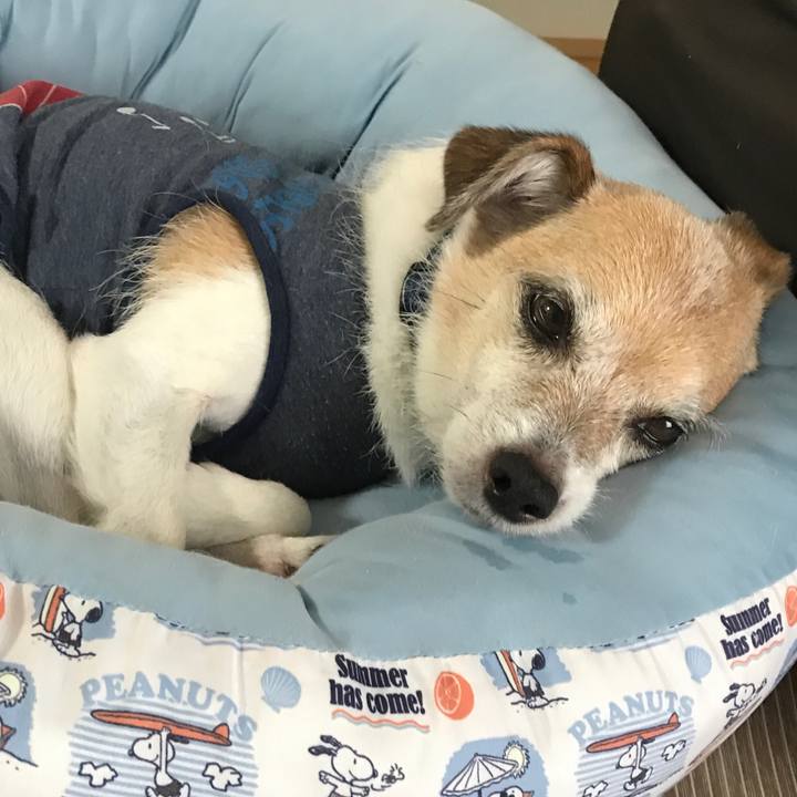 F0cd12ab 0115 4fe5 8028 7b5aa19c77ff 1661921474931