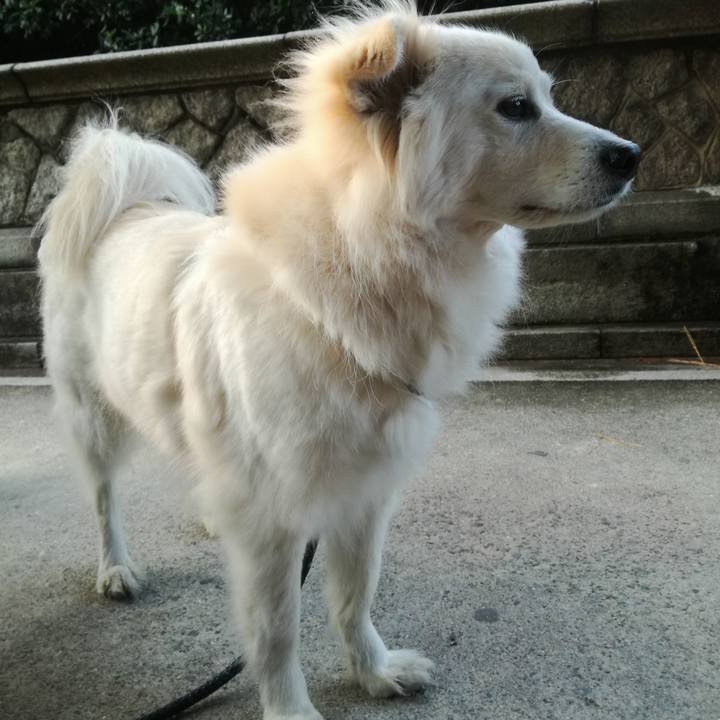 F0cd3dac d7a1 43ce a15e c263be56103f 1519601769629