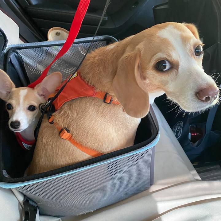 F0cd4f4e ab1d 4778 85d5 05d8d17664ef 1664337663553