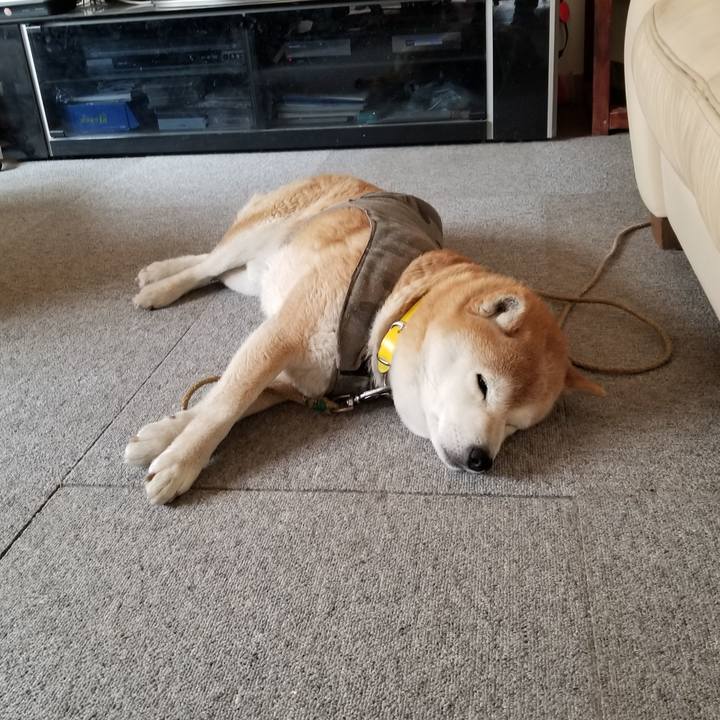 F0cd5777 ce05 44f4 ba70 4f678bbdfb9f 1680217698609