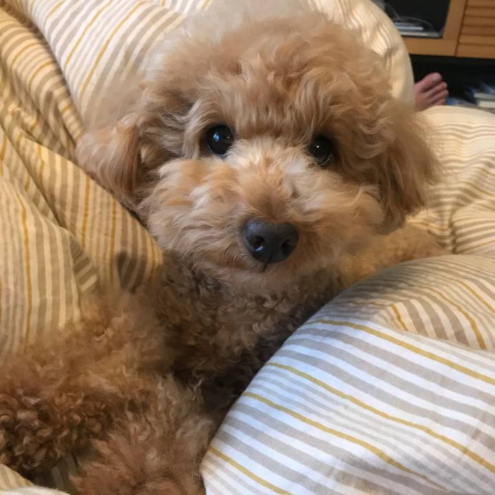 F0cd60dc 3cfb 47bb 8e1e 8d10bfb120a7 1518853061971