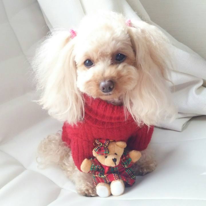 F0cd7ed8 c9fd 4b79 a4e9 28161d3a58b2 1519982488730