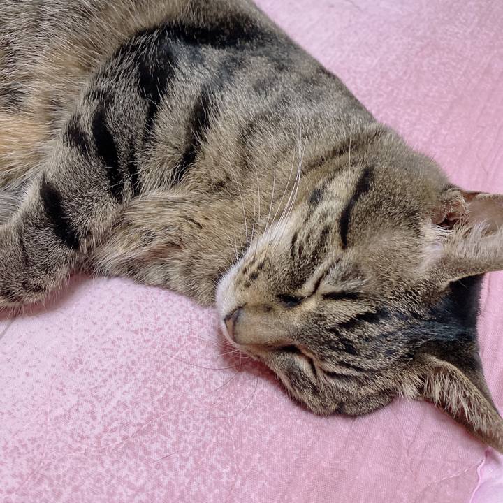 F0cdb6d9 6ce1 42fb a15a 6d4e2572bbc4 1659345858118