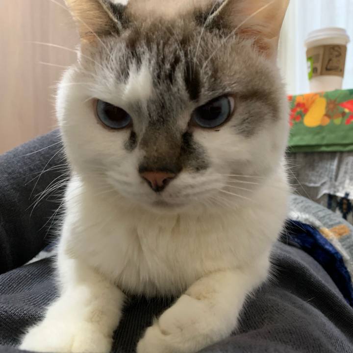 F0cdd09d 976b 4879 a1a4 d13201c32dbe 1576991099130