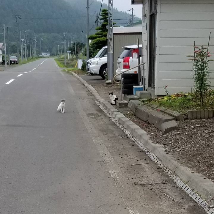 F0cdd11f dfda 4bdb 91de 385a0e64cede 1596027869537