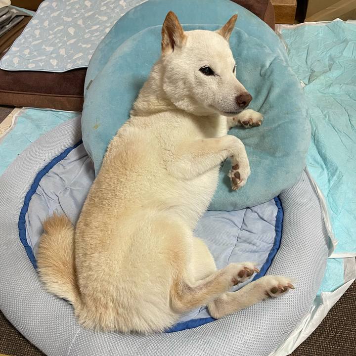 F0cdddbb e63d 4dd6 be6c 3d20e8c91576 1656738745440