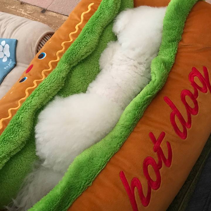 F0ce19b6 1856 46bb 8e32 59b7827881e2 1527564501203