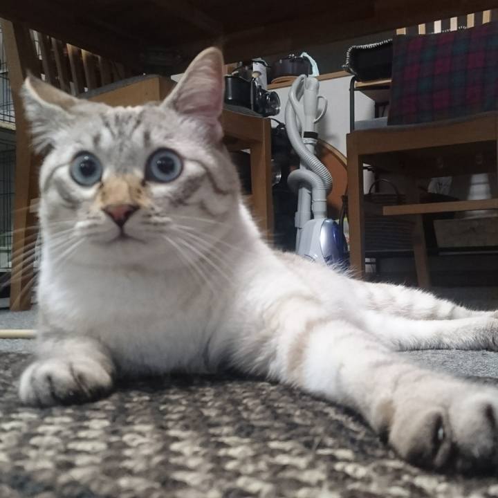 F0ce4a75 c272 49b7 a149 432708646d5a 1508646625492