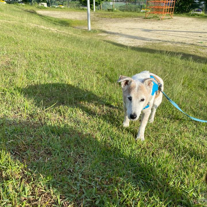 F0ce5315 8070 4d0f b9de debd441f3356 1715725167814