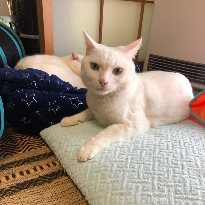 F0ce649f 03fd 4c1c 936b 4d82d798cb5a 1550733828522