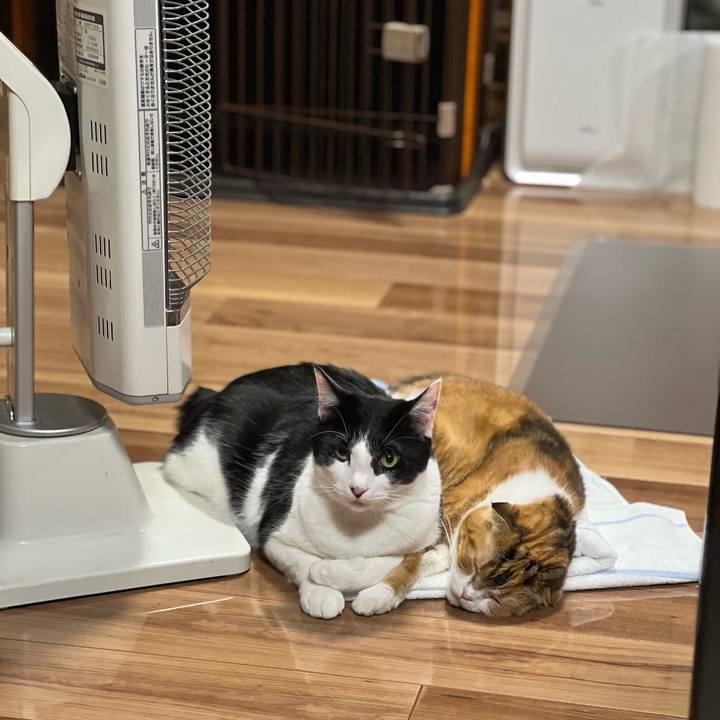 F0cea898 b52a 4a3f b53f 311ff892c154 1673098584073