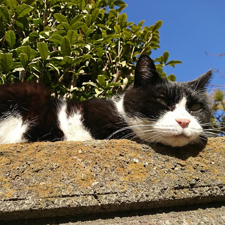 F0cec5ad 346a 483f bf1a 9d276bdabfdd 1515310406923