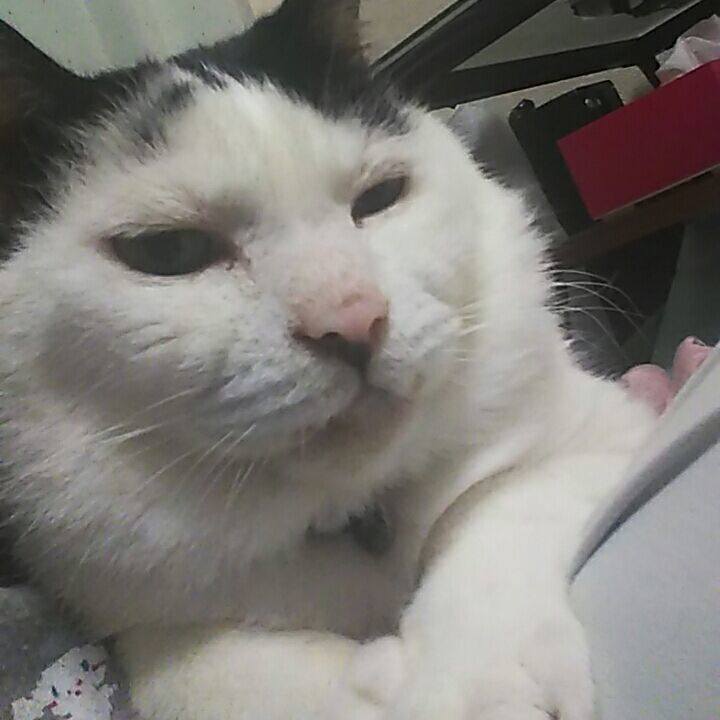 F0cee71d cc37 4450 9df1 4304b308af09 1564227018134