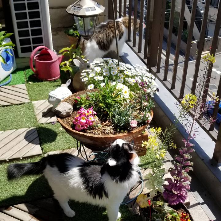 F0cf0da5 2726 48f9 8d04 9fa96795e06b 1555591141763